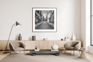 An empty Dublin lane with shopfronts and hanging flowers in black and white.