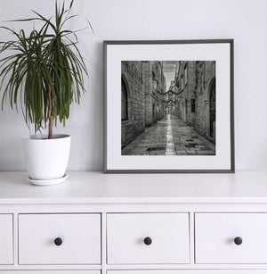 Framed black and white photo of a narrow alleyway on a white surface with a plant.