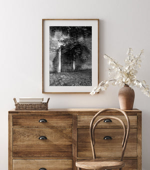 Old Venice doorway with weeds black and white