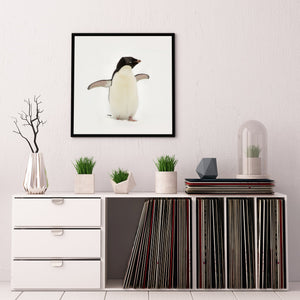 Gentoo penguin looking sideways while balancing on snow