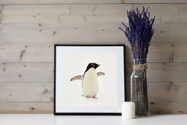 Excited baby Gentoo penguin against Antarctic snow | Photo Art Print fine art photographic print