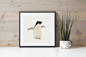Gentoo penguin full body image on bright white snow