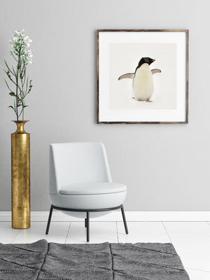 Antarctic wildlife photo of a Gentoo penguin pausing in the snow