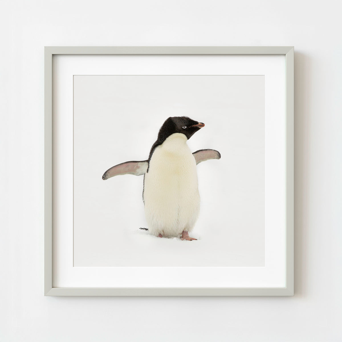 Pinguïns Koningspinguïn Winter Antarctica, Natuur, Illustratie, Pinguïns  Afbeelding PNG Met Transparante Achtergrond Voor Gratis Download, image size:1200x1200