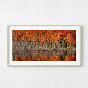 Autumn reflection in Algonquin Park