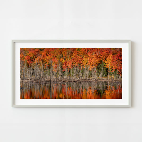 Autumn reflection in Algonquin Park