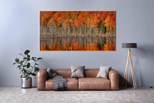 Algonquin Park autumn landscape photography