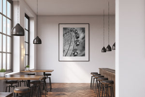 Urban amusement ride photography