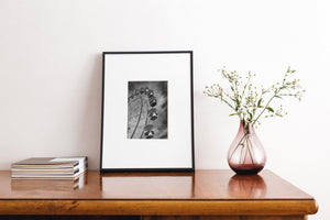 Ferris wheel structure in B&W
