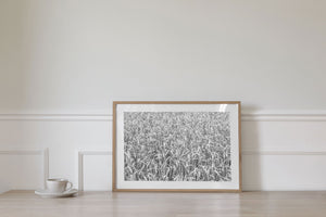 Monochrome wheat close-up wall art