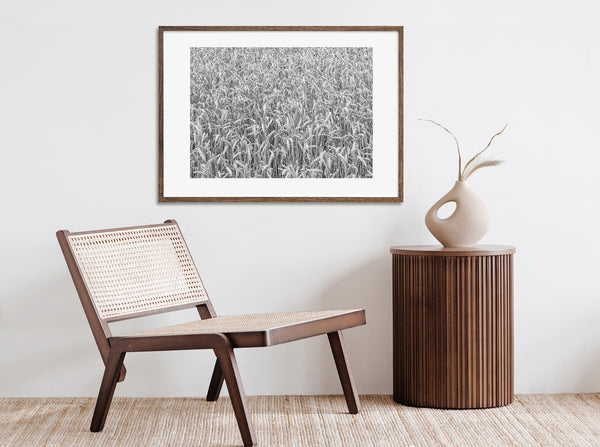 Close-up wheat field monochrome wall art