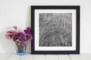 Long grass lies in curved bands, creating an abstract rhythm of light and shadow.