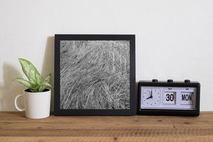 Flowing strands of flattened grass fill a detailed black and white composition.