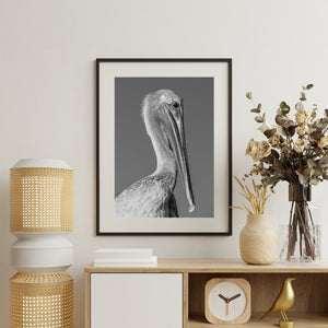 The pelican’s elongated bill contrasts with soft neck plumage against a plain grey background.