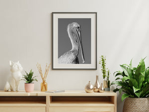 Close portrait of a Florida Keys pelican showing its rounded crown and curved neck.
