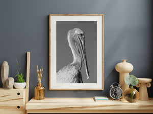 Monochrome Florida Keys bird portrait with crisp eye detail and a long slender bill.