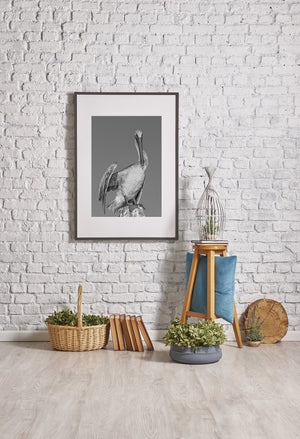 The pelican’s webbed feet grip a rough stump beneath its pale feathered body.