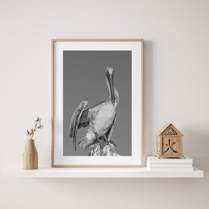 A pelican looks toward the camera while perched on a weathered stump in the Florida Keys.