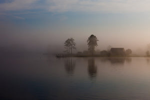 Foggy background in Southern Georgia Morning | Wall Art