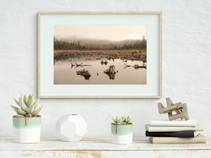 Haliburton misty forest fine art photo