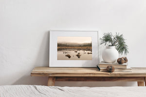 Moody nature wall art with fog