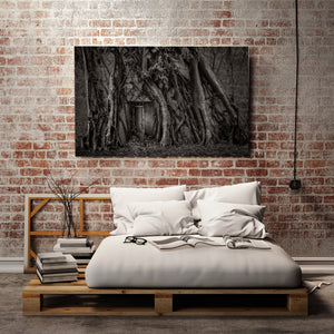 Real photo of historic Havana