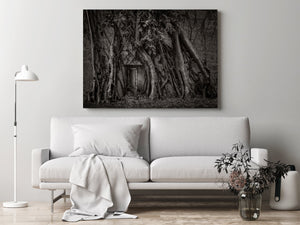 Roots overtaking old door