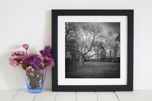 Eenzame boom in Frankrijk Fine Art