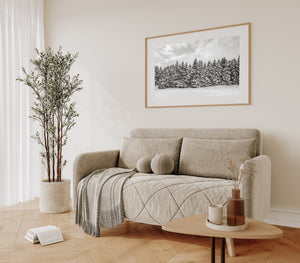 Minimalist forest scene with fresh snow in Canadian wilderness