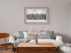 Black and white winter wall art of pine tree forest