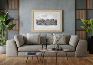 Haliburton landscape photography featuring dense snowy woodland