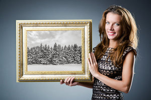 Peaceful snow laden trees lined under a cloudy winter sky