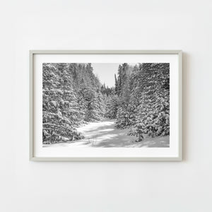 Snow covered forest path in Haliburton Ontario in black and white