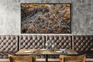 Sunlit gold and icy white edges create intricate patterns in coastal seaweed