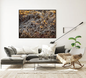 Frozen seaweed forms layered organic shapes with golden highlights and dark shadows