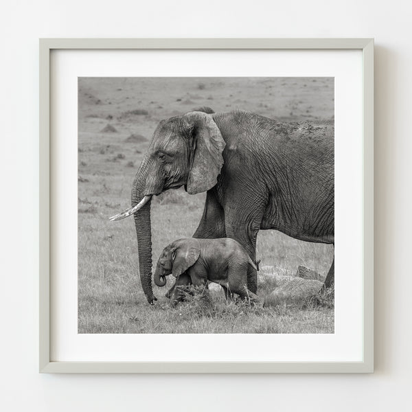 Gentle Giants Mother Elephant with Her Calf in the Serengeti | Photo Art Print fine art photographic print