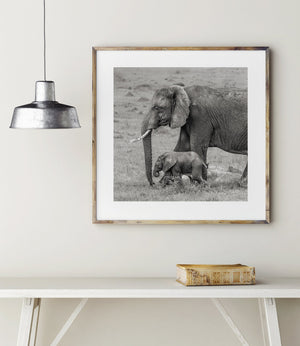 Fine art elephant portrait in African wilderness