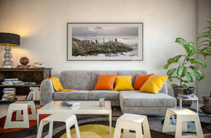 Wild penguins navigating rugged Antarctic environment