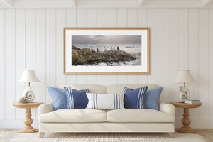 Antarctica wildlife fine art print with seabirds