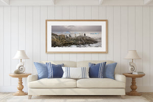 Faune de l'Antarctique Tirage Fine Art avec les oiseaux de mer