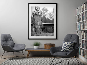 A worn circular rocking chair emblem overlooks an overgrown furniture store in monochrome