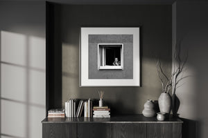 Frankfurt resident observing festival from window candid street photograph