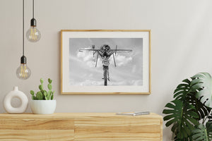 Wide metal wings span the sky above a roadside mosquito sculpture