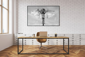A humorous giant mosquito sculpture carries a human figure in a monochrome Ontario photograph