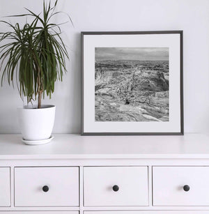 Rugged canyon walls and a bare gnarled tree form a textured monochrome landscape