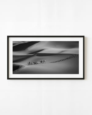 A camel caravan crosses rippled Gobi Desert dunes in a panoramic black and white photograph