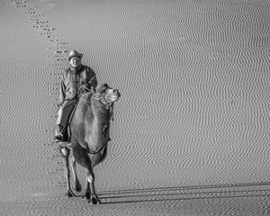 صحراء جوبي بالأبيض والأسود