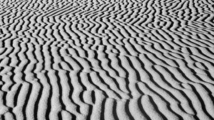 Dark shadows trace winding ridges across pale Gobi Desert sand