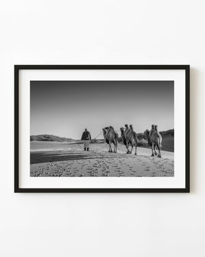 A herder leads three camels across the Gobi Desert in a black and white photograph