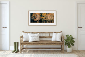 A panoramic autumn photograph shows cypress trees beside dark reflective water